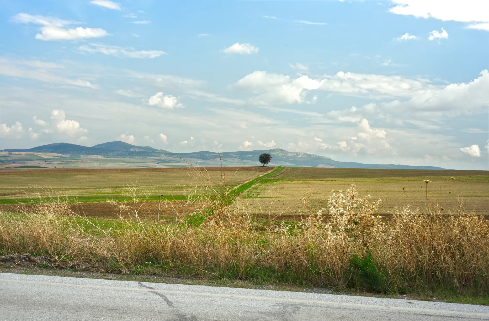 Nature recovering after Storm Daniel in Thessaly, Greece