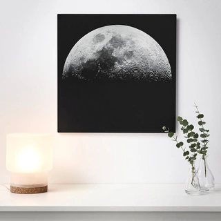IKEA KOPPARFALL πίνακας/Σεληνιακό τοπίο, 49x49 cm