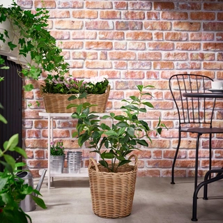 IKEA FLODBJÖRK Κασπό Χειροποίητο από Πλαστικό Ρατάν